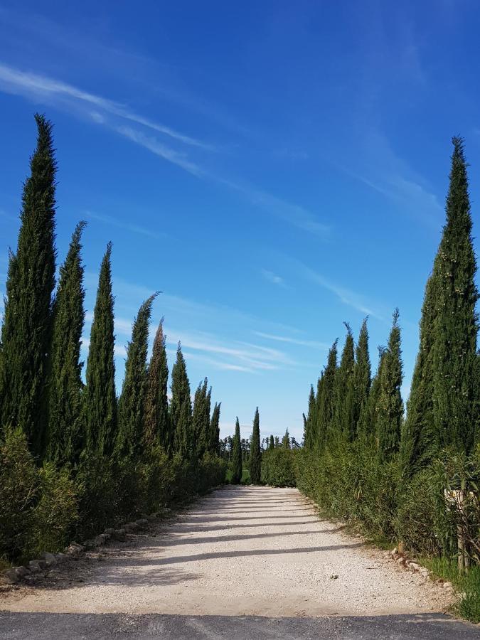 Le Mas Saint Jean Mézoargues Kültér fotó